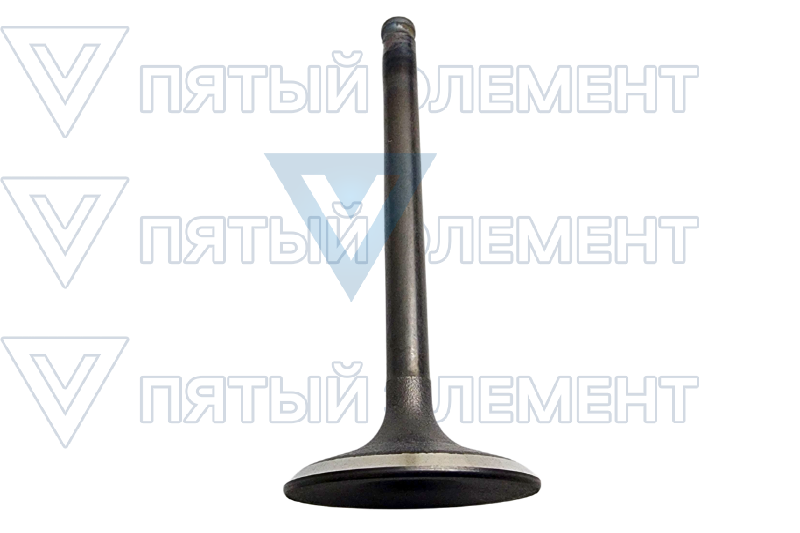 Клапана впускные 3,0L (GALOPER)