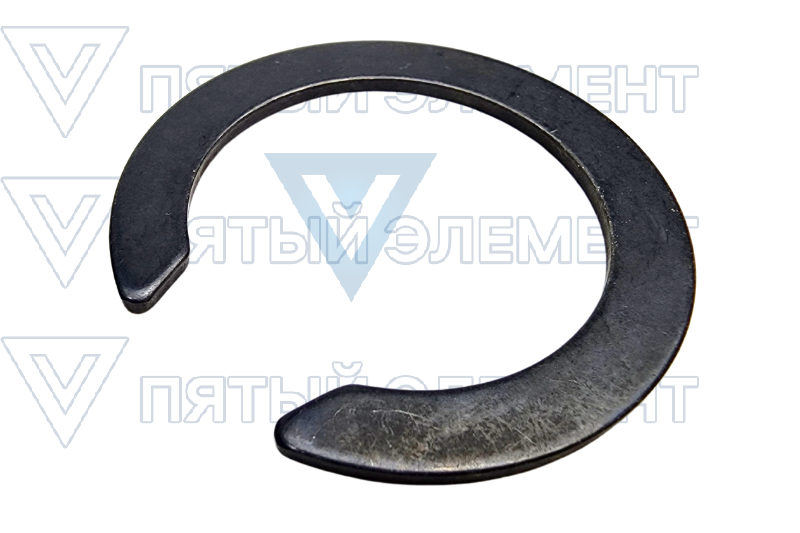 Кольцо передней шаровой (SONATA VI)