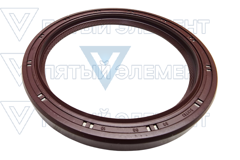 Сальник коренной большой (СIELO)