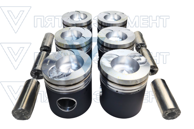 Поршня стд.D2366(BS 106)